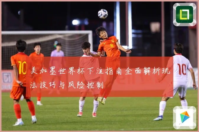 美加墨世界杯下注指南全面解析玩法技巧与风险控制