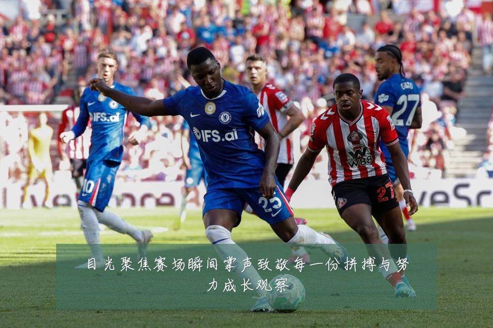 目光聚焦赛场瞬间掌声致敬每一份拼搏与努力成长观察